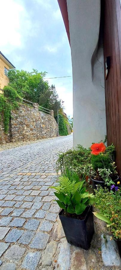 Penzion Merlin Český Krumlov Exterior foto